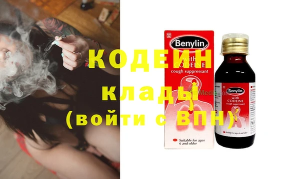 шишки Алзамай