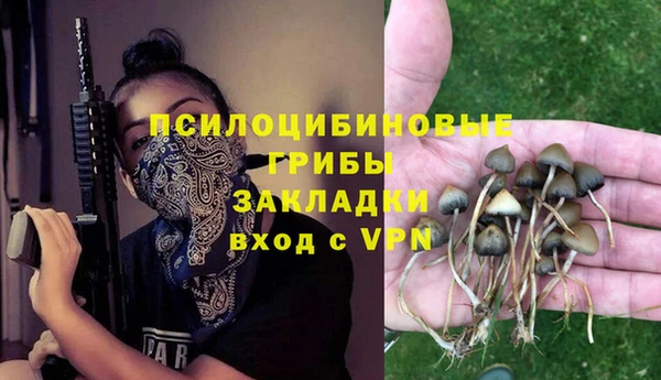 шишки Алзамай