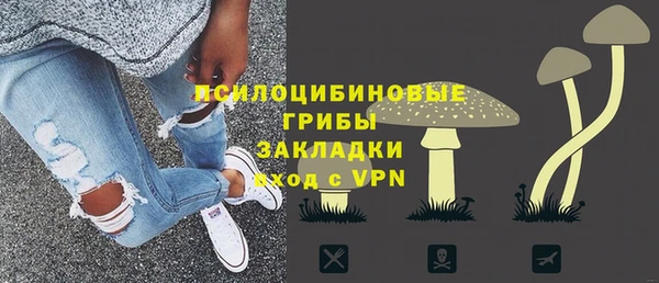 шишки Алзамай