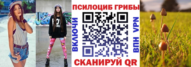 KRAKEN   Злынка  Галлюциногенные грибы Magic Shrooms 